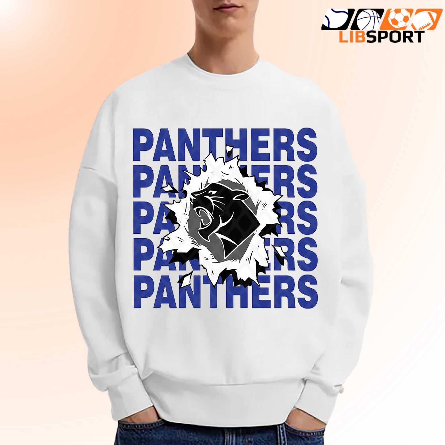 Carolina Panthers Game Day Shirt, Unisex Nfl Tee